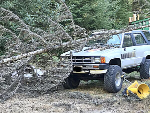 Treetop hit my 4runner-photo920.jpg