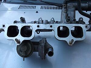 Oil Pan Removal and Eventual Top End Rebuild-qczebl.jpg