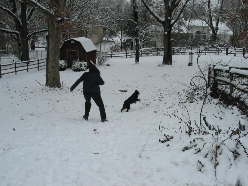 Name:  DoggieSnowDay8mos024_zps0c7338eb.jpg
Views: 93
Size:  86.8 KB