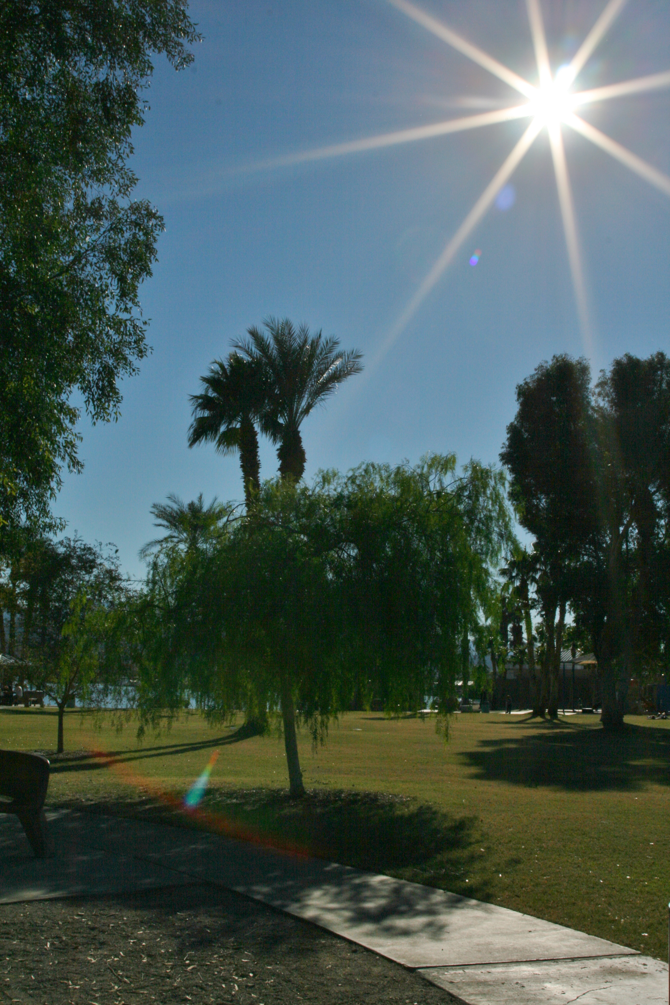 Name:  2013-12-01Havasu2021.jpg
Views: 86
Size:  4.13 MB