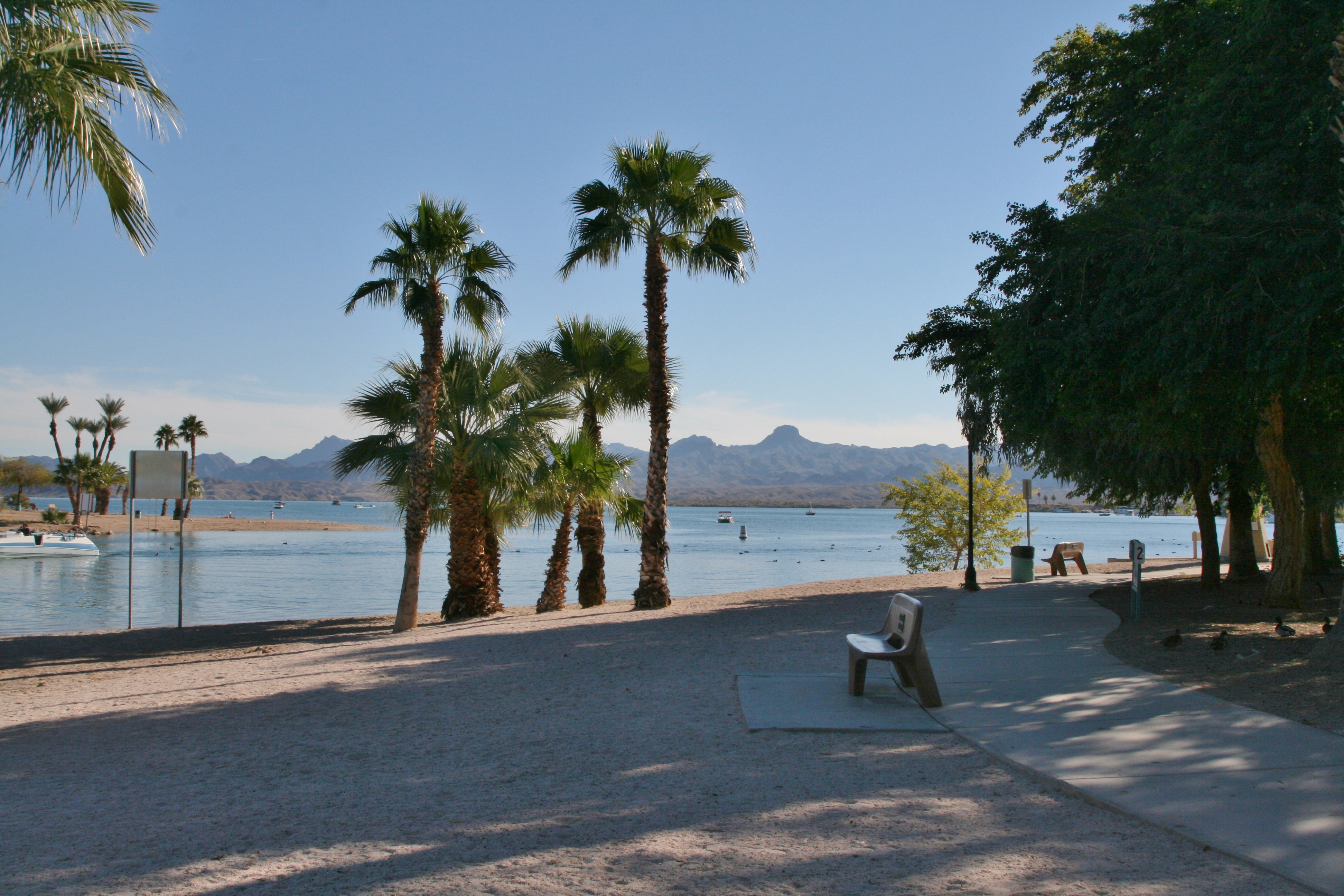 Name:  2013-12-01Havasu2028.jpg
Views: 153
Size:  4.10 MB