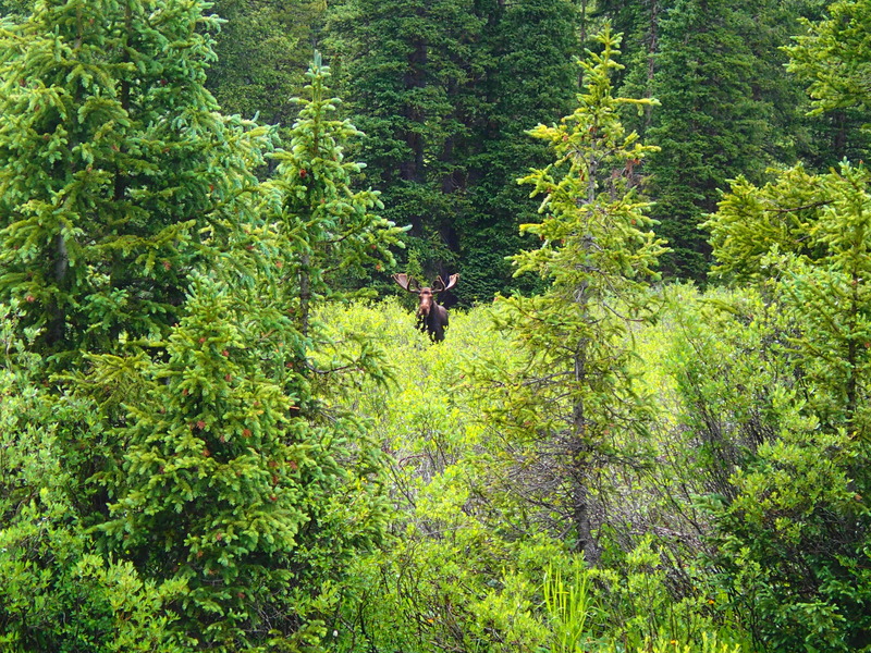 Name:  Colorado%20Utah%202015%20091%20-%20Copy_zpsa7a9fili.jpg
Views: 360
Size:  361.2 KB