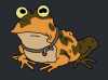 hypnotoad's Avatar